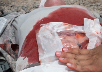 Combat lifesaver course: How to save a life