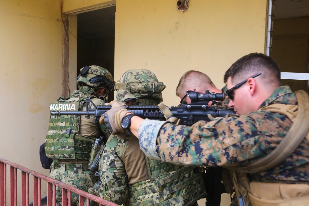 Exercise Tradewinds: Realistic urban training in Jamaica