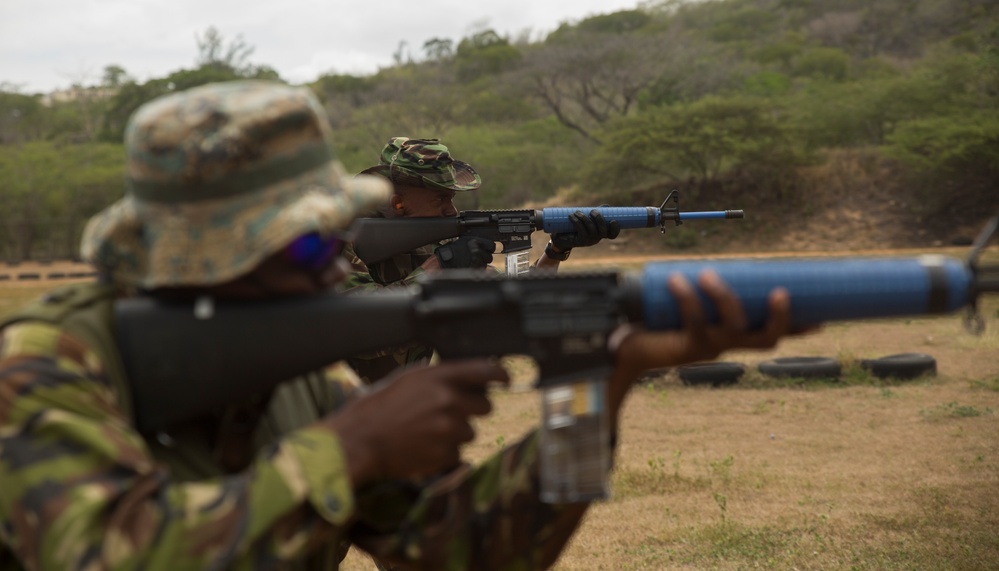 Exercise Tradewinds: Joint weapons training in Jamaica