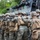 French Army and SPMAGTF-CR-AF Marines work together for an offensive attack