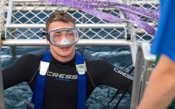 Marines dive with great whites