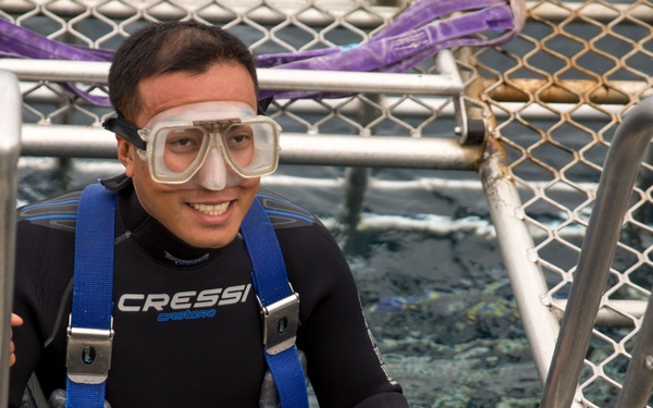 Marines dive with great whites