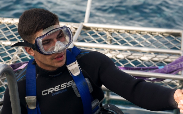 Marines dive with great whites