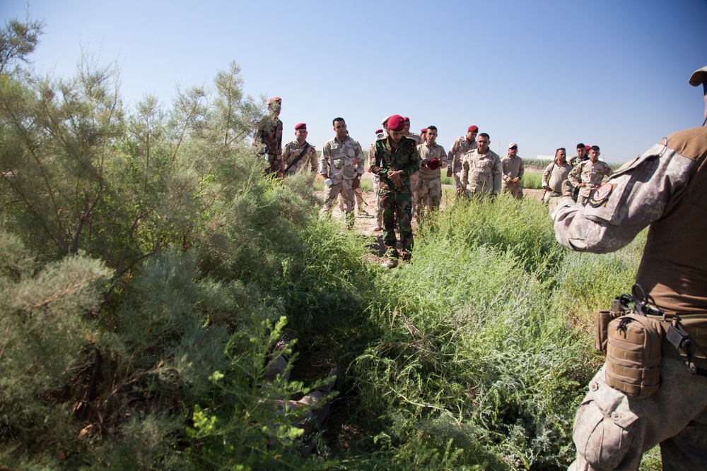 New Zealand forces train the Junior Leadership Course