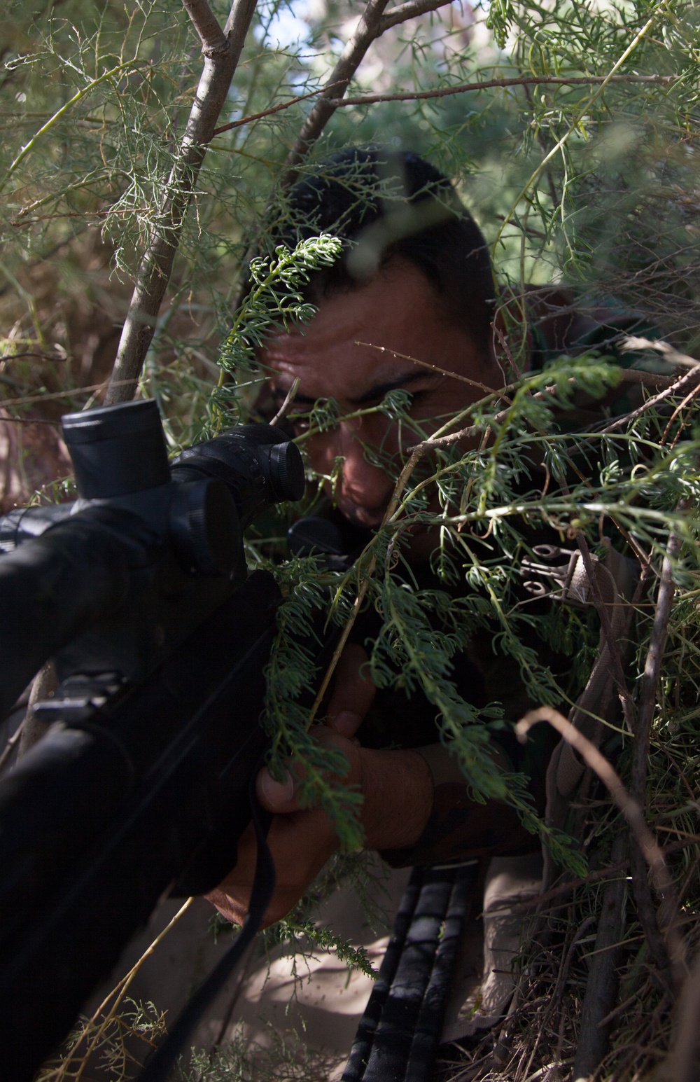 New Zealand forces train the Junior Leadership Course