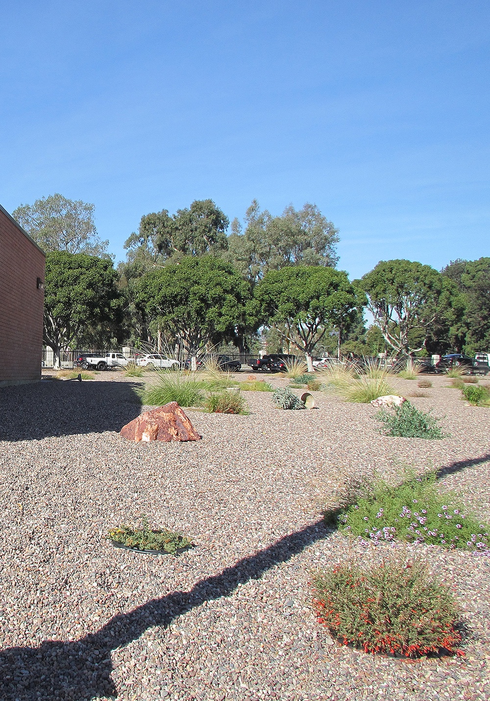 Xeriscape at Holderman Hall Reserve Center