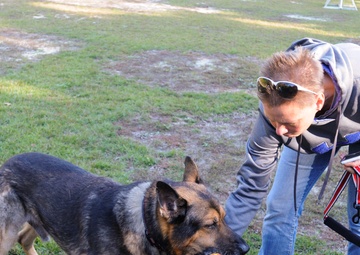 EmBARKing on a new adventure