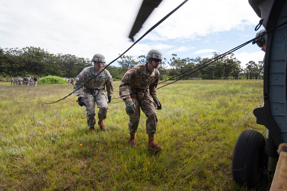 Warfighters exemplify true grit for Air Assault
