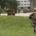 Calling in backup; 2/8 Fox Co. trains for embassy reinforcement