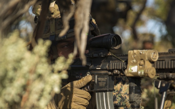 Company A executes day one of Exercise Hamel