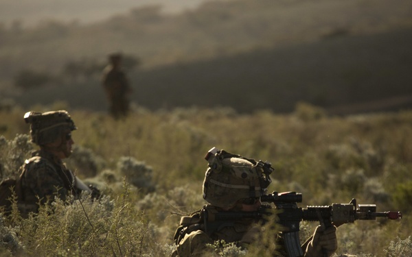 Company A executes day one of Exercise Hamel