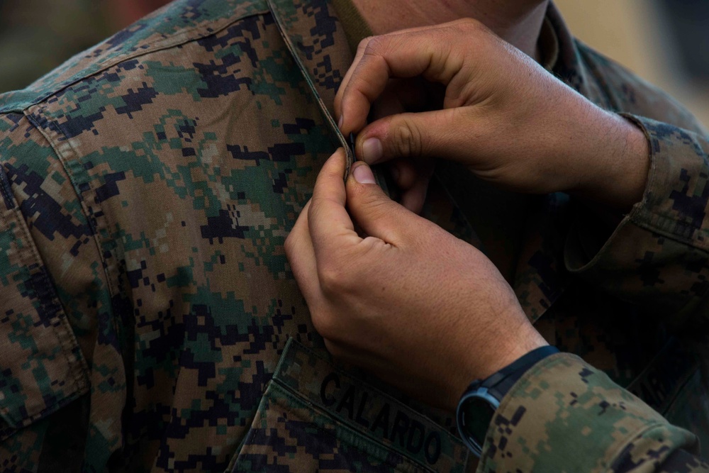 Field promotion during Exercise Hamel