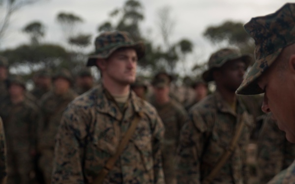 Field promotions during Exercise Hamel