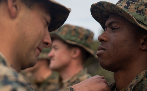 Field promotions during Exercise Hamel