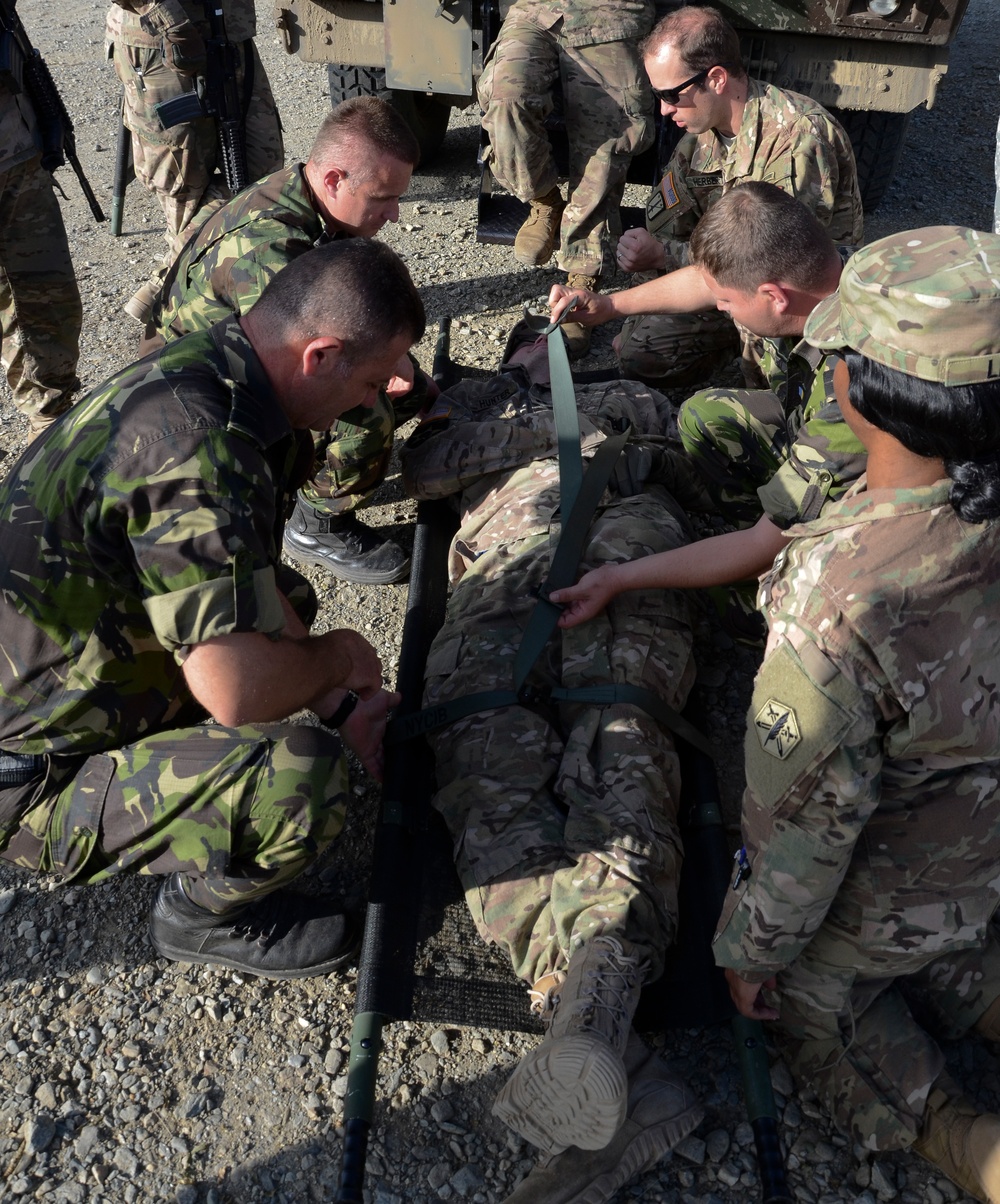 Alabama Army National Guard Leads Medical Training and Support in Romania