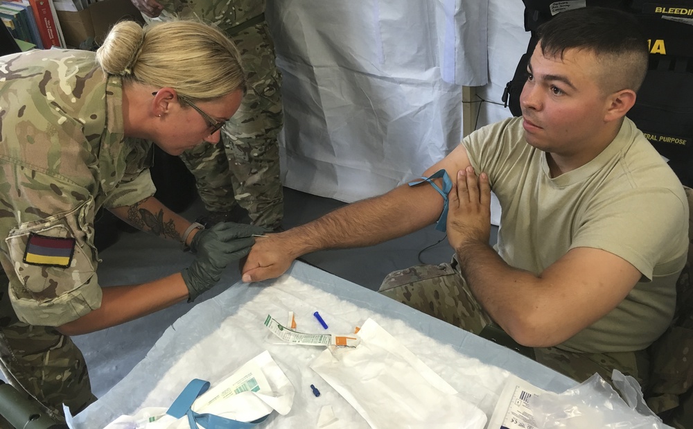 Alabama Army National Guard Leads Medical Training and Support in Romania