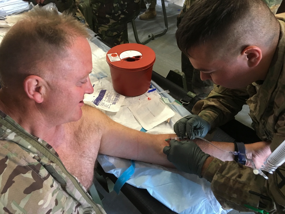 Alabama Army National Guard Leads Medical Training and Support in Romania