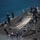 USS ASHLAND (LSD 48) RETURNS USS ASHLAND (LSD 48) RETURNS