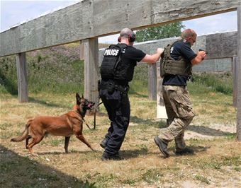 K-9 training