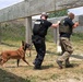 K-9 training