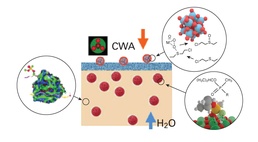 Detoxification of Chemical Warfare Agents
