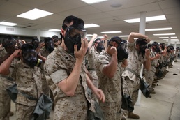 9 seconds or die: CBIRF trains to the basics every day