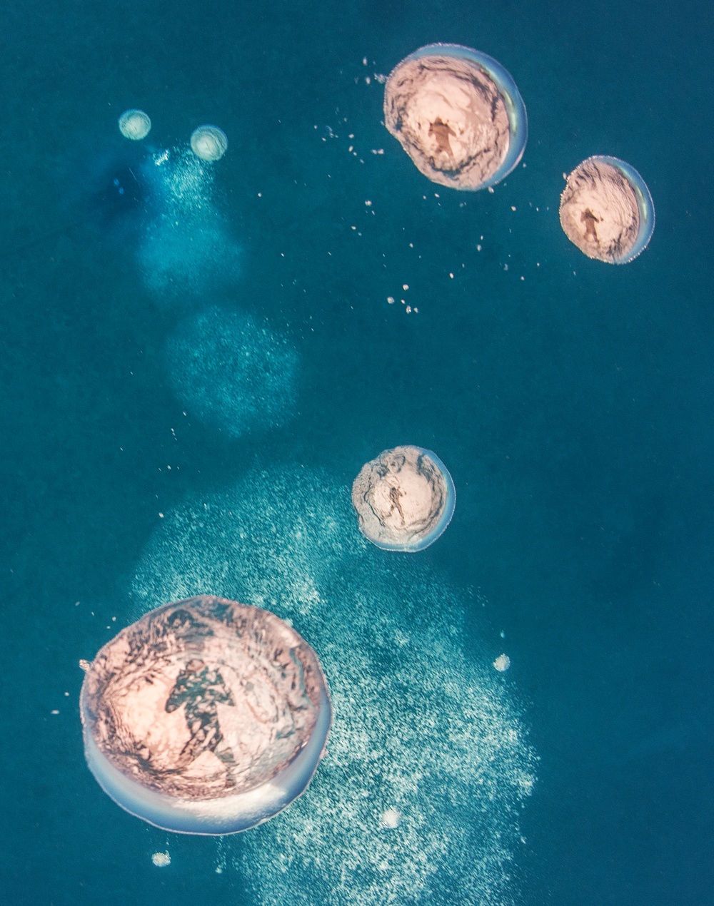 UCT 2 Performs Undersea Cable Maintenance Off Kauai