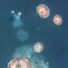 UCT 2 Performs Undersea Cable Maintenance Off Kauai