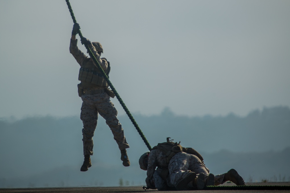 Falling with style: Scout Snipers, VMM-164 conduct fast-rope training