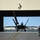 F-22 Fini-Flight