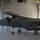 F-22 Fini-Flight