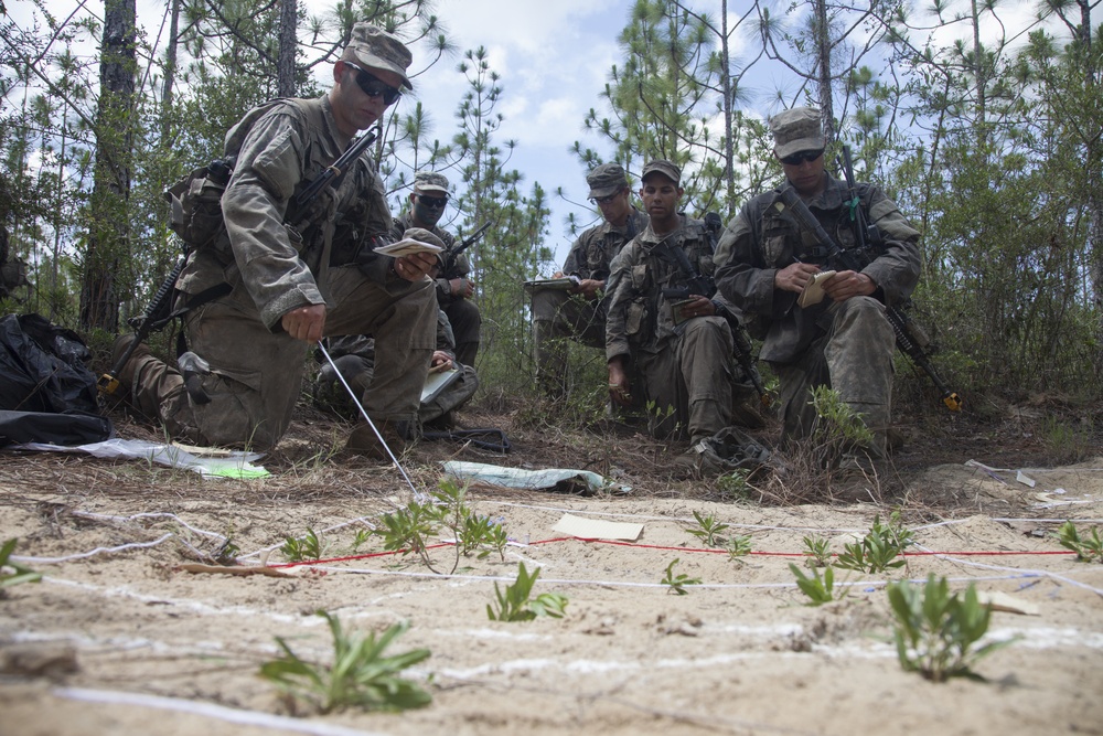 Florida Phase of Ranger School