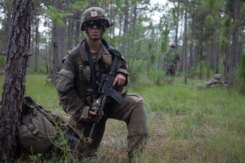 Florida Phase of Ranger School