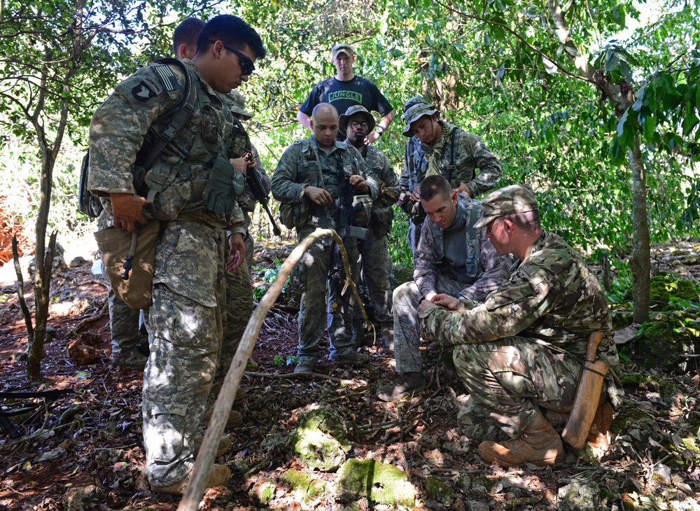 Though the thick of it: Airmen, Soldiers tackle joint jungle training