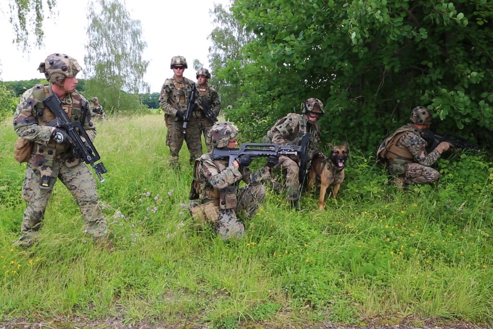 SPMAGTF-CR-AF &amp; French Army execute Combined Arms attack exercise