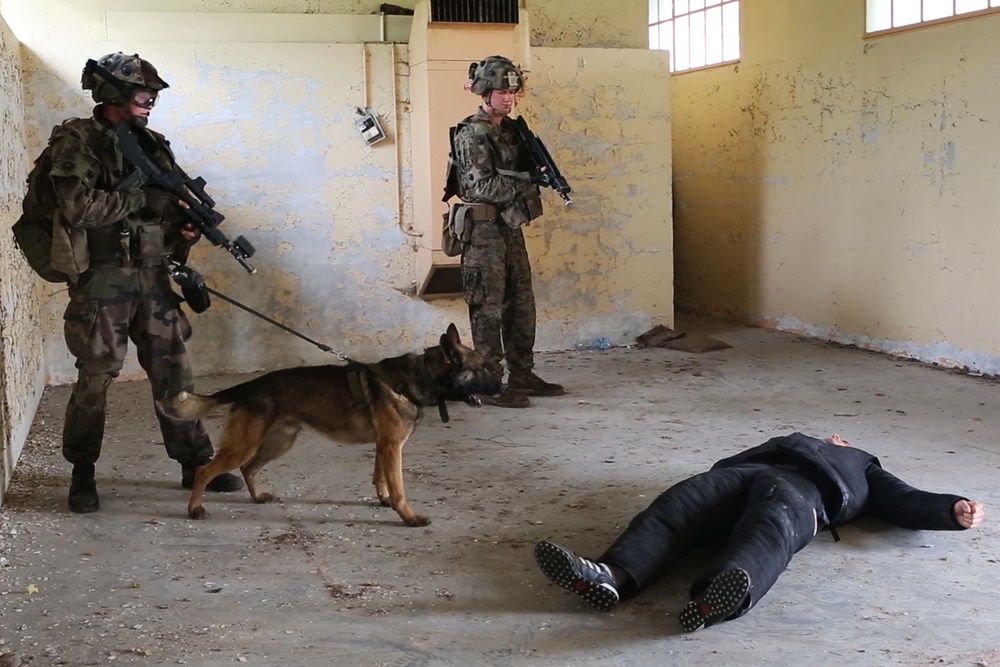 SPMAGTF-CR-AF &amp; French Army execute Combined Arms attack exercise