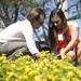 The National Association of Landscape Professions volunteer in Arlington National Cemetery