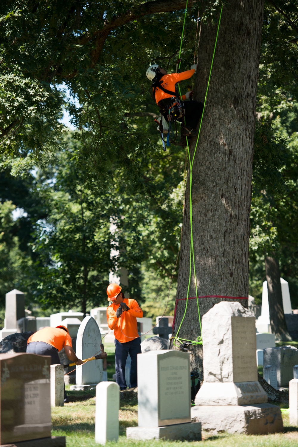 The National Association of Landscape Professions volunteer in Arlington National Cemetery