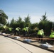 The National Association of Landscape Professions volunteer in Arlington National Cemetery