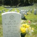 The National Association of Landscape Professions volunteer in Arlington National Cemetery