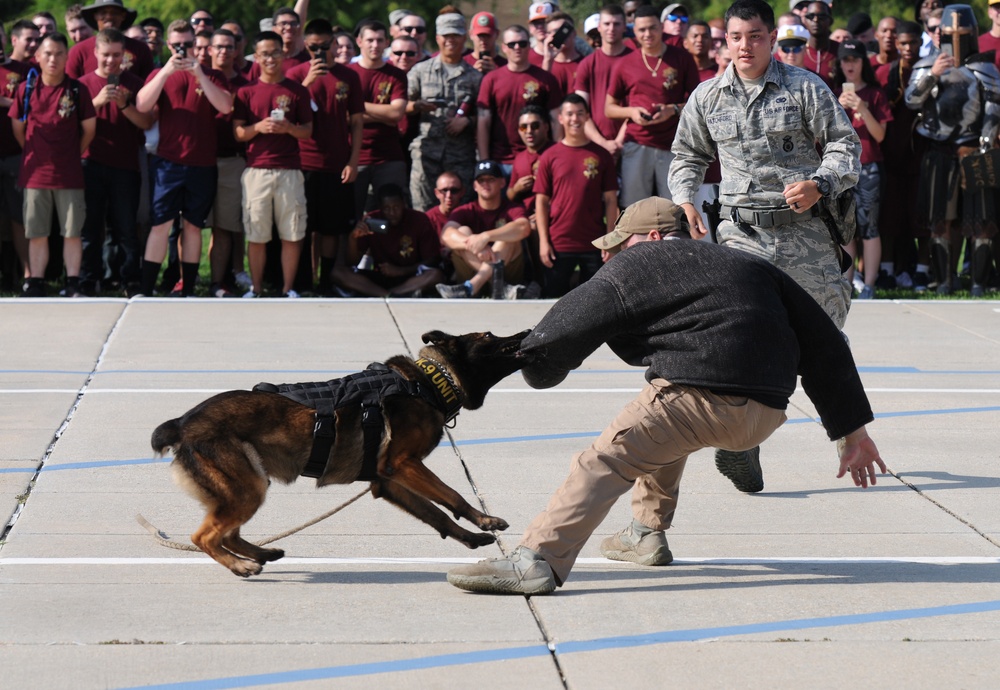 81st Training Group drill down