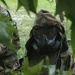 Marines participate in CBRN class.