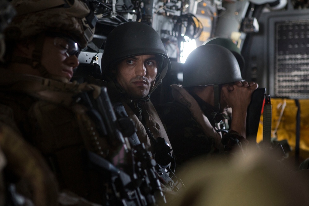 22nd MEU Marines and Moroccan Forces participate in African Sea Lion Training Exercise