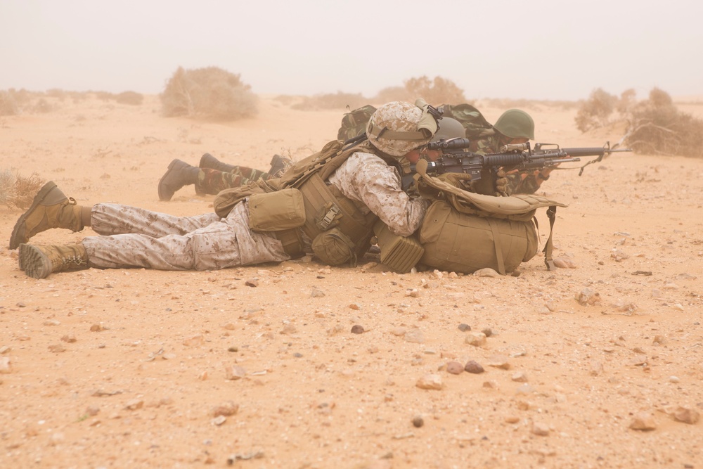 22nd MEU Marines and Moroccan Forces participate in African Sea Lion Training Exercise