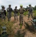 Sandhurst and West Point Cadets Participate in Exercise Dynamic Victory