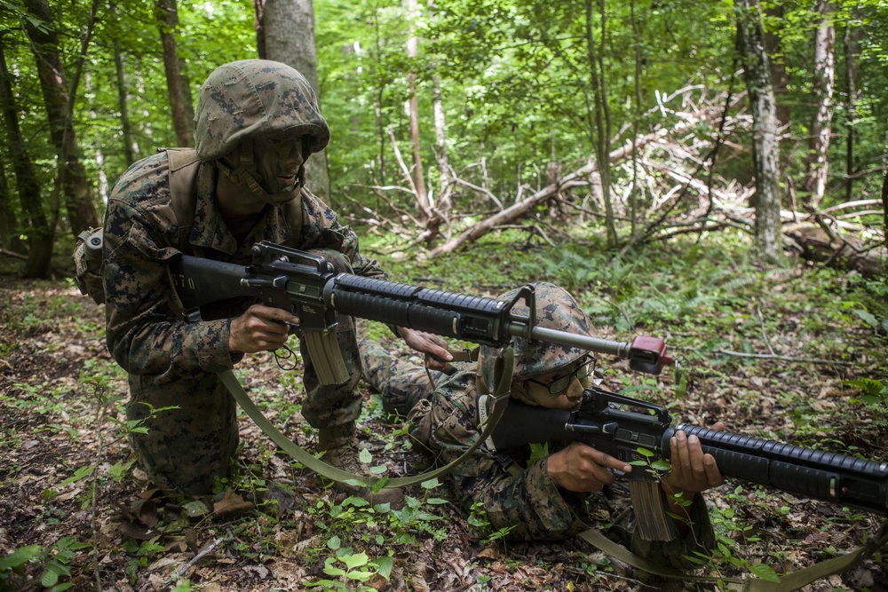 Alpha Co. Small Unit Leadership Evaluation