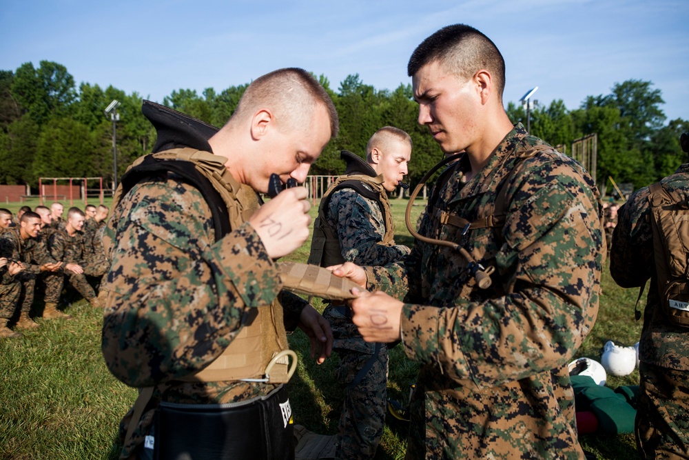 Lima Co. Pugil Sticks