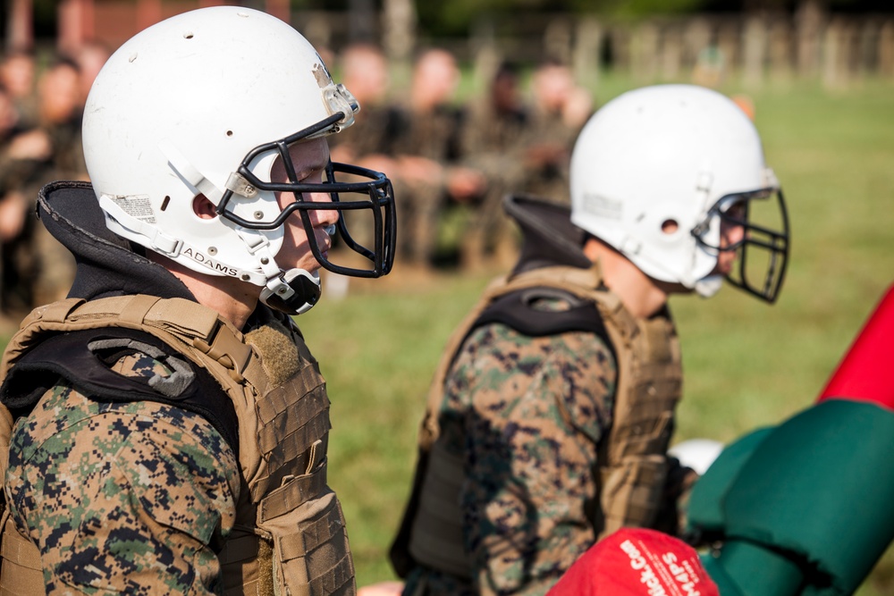 Lima Co. Pugil Sticks