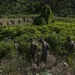 Task Force Koa Moana: Jungle roots