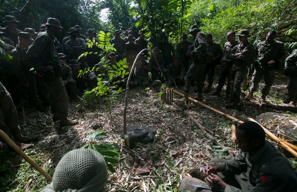 Task Force Koa Moana: Jungle roots